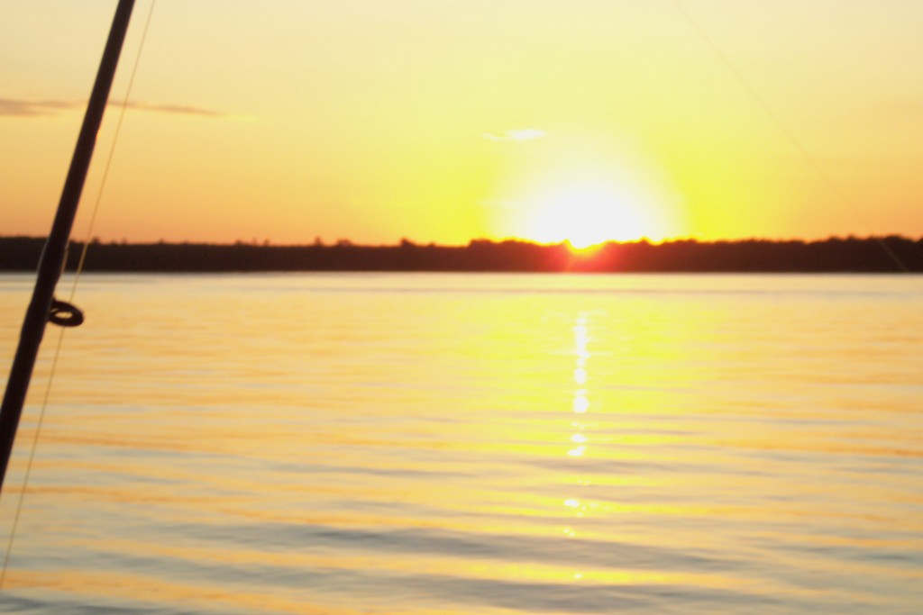 Foto de Paysandu (Paysandú), Uruguay