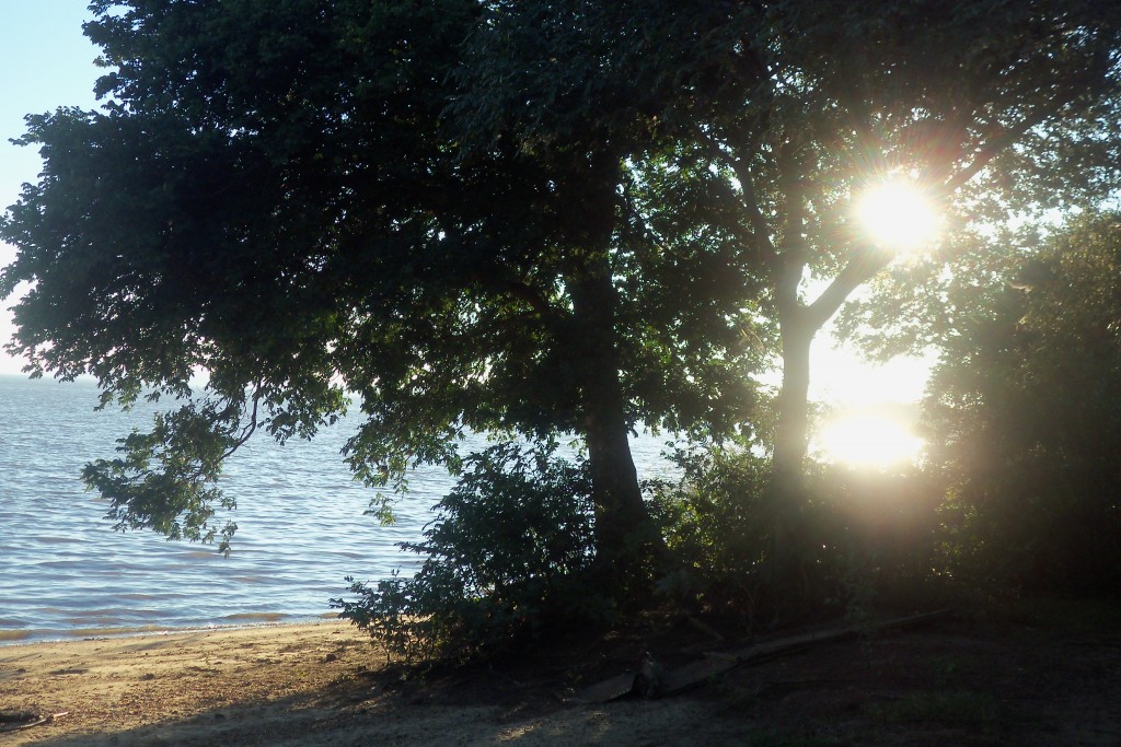 Foto de Paysandu (Paysandú), Uruguay