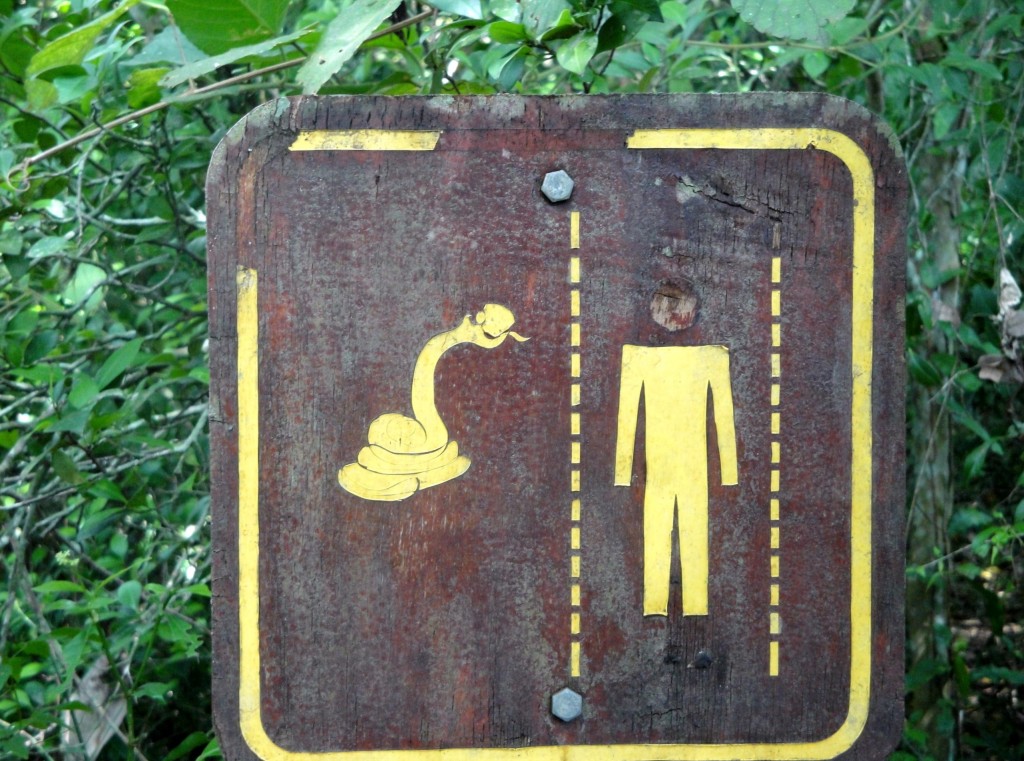 Foto: Garganta Del Diablo - Puerto Iguazú (Misiones), Argentina