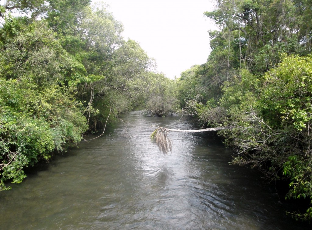 Foto: Garganta Del Diablo - Puerto Iguazú (Misiones), Argentina