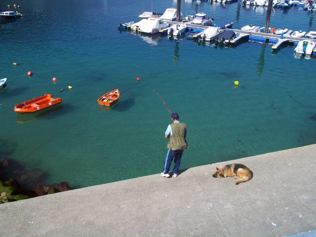 Foto: Cudillero - Cudillero (Asturias), España