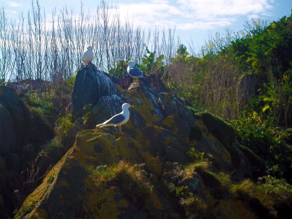 Foto de Cudillero (Asturias), España