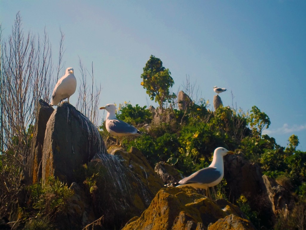 Foto: Cudillero - Cudillero (Asturias), España