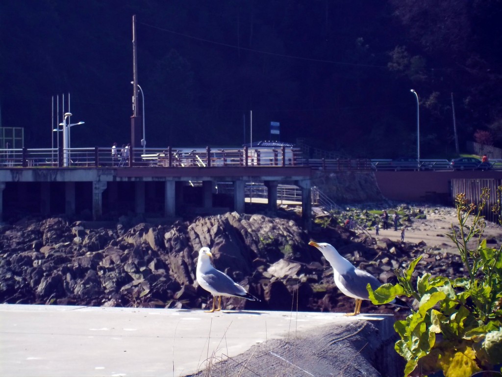 Foto de Cudillero (Asturias), España
