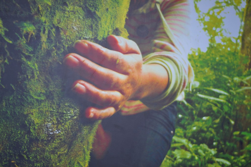Foto: MUSEO  HISTORICO JUAN SANTAMARIA - Alajuela, Costa Rica