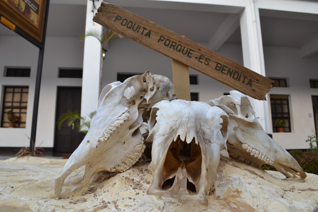 Foto: MUSEO  HISTORICO JUAN SANTAMARIA - Alajuela, Costa Rica