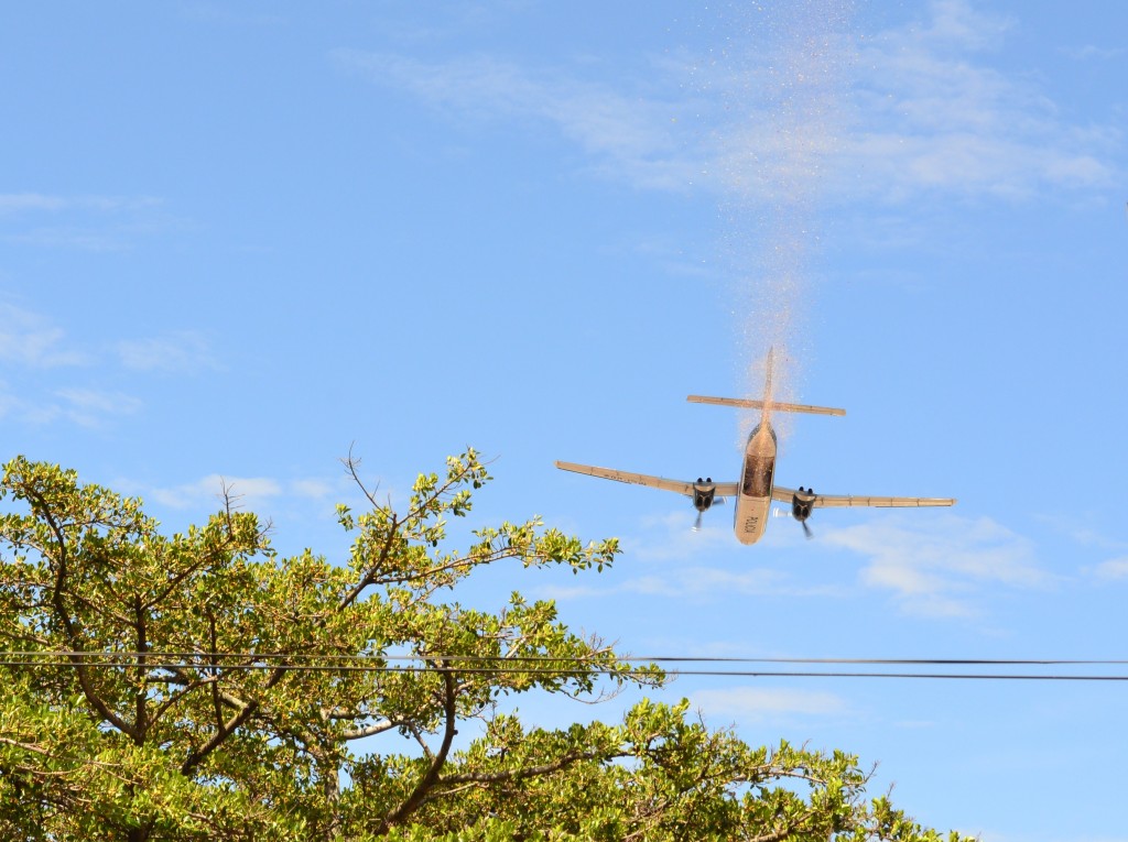 Foto: 11 de abril 2012 - Alajuela, Costa Rica