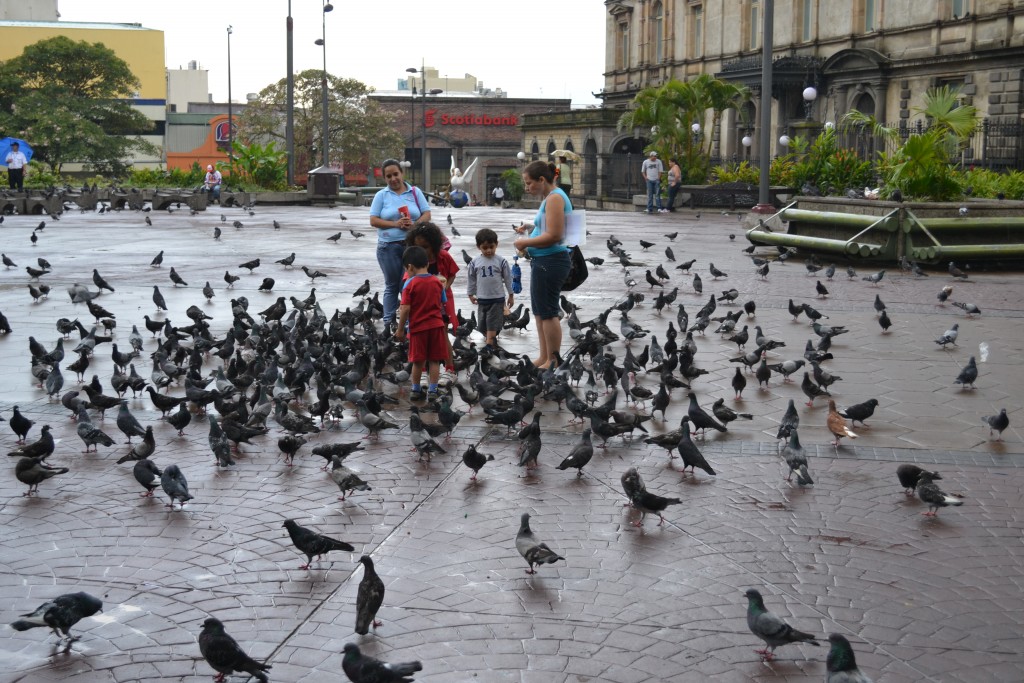 Foto de San Jose (San José), Costa Rica