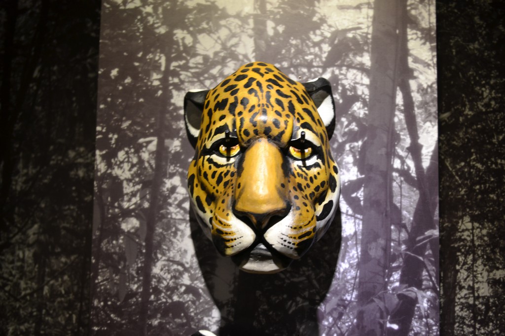 Foto: Tigre - San Jose (San José), Costa Rica