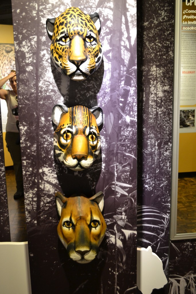 Foto: Museo Del Oro - San Jose (San José), Costa Rica