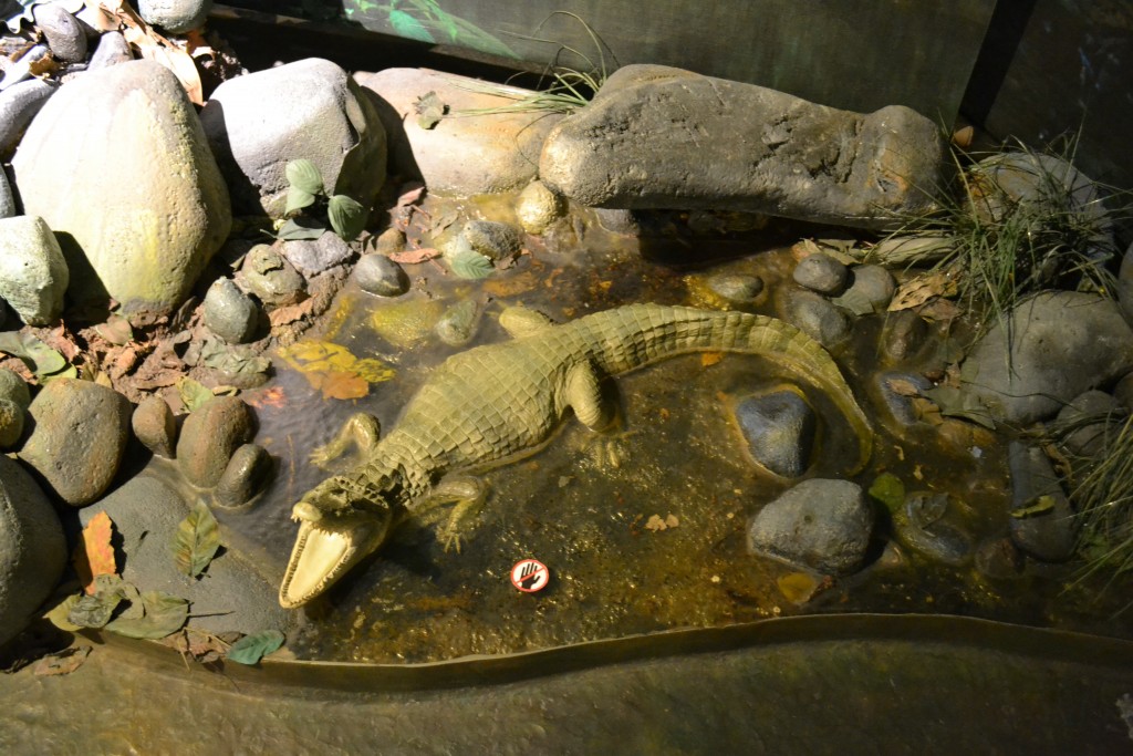 Foto: Museo Del Oro - San Jose (San José), Costa Rica