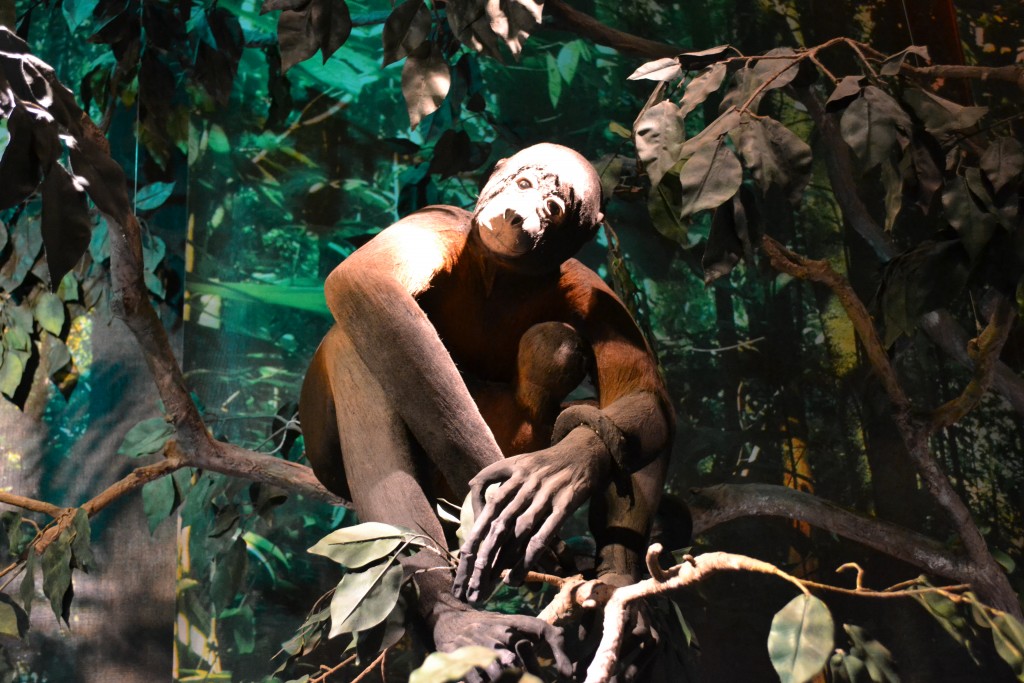 Foto: Museo Del Oro - San Jose (San José), Costa Rica