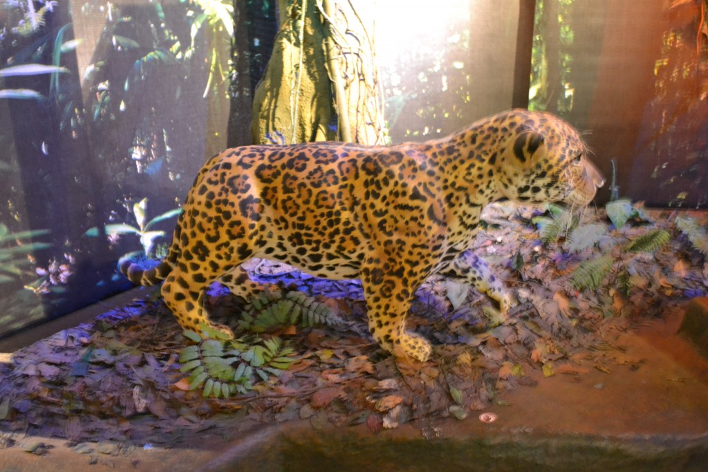 Foto: Museo Del Oro - San Jose (San José), Costa Rica