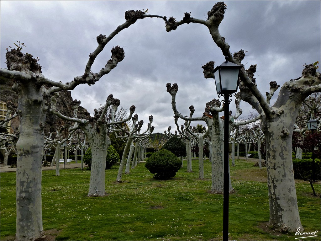 Foto: 120415-07 Baños De Fitero - Fitero (Navarra), España
