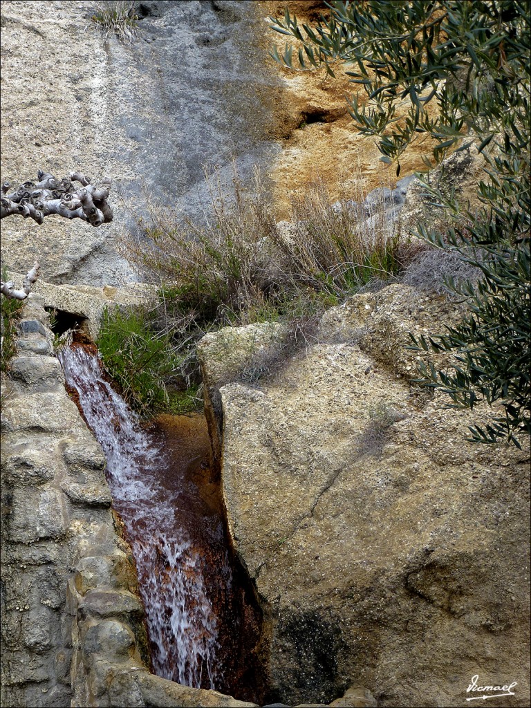 Foto: 120416-23 Baños De Fitero - Fitero (Navarra), España