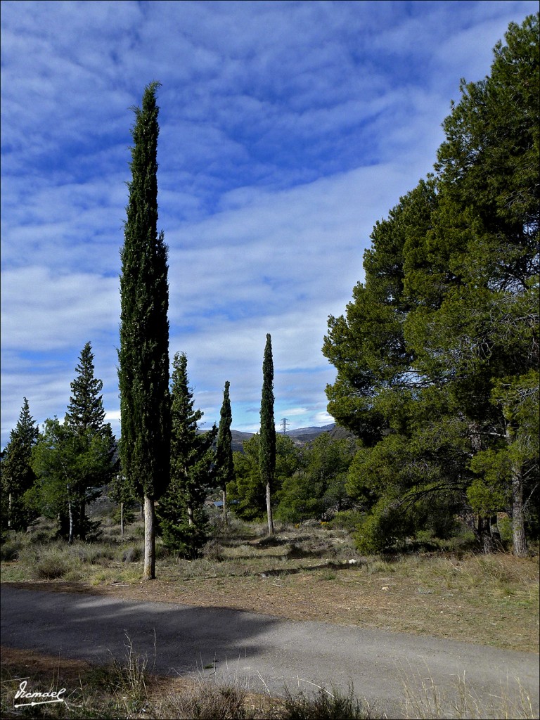 Foto: 120417-35 Baños De Fitero - Fitero (Navarra), España