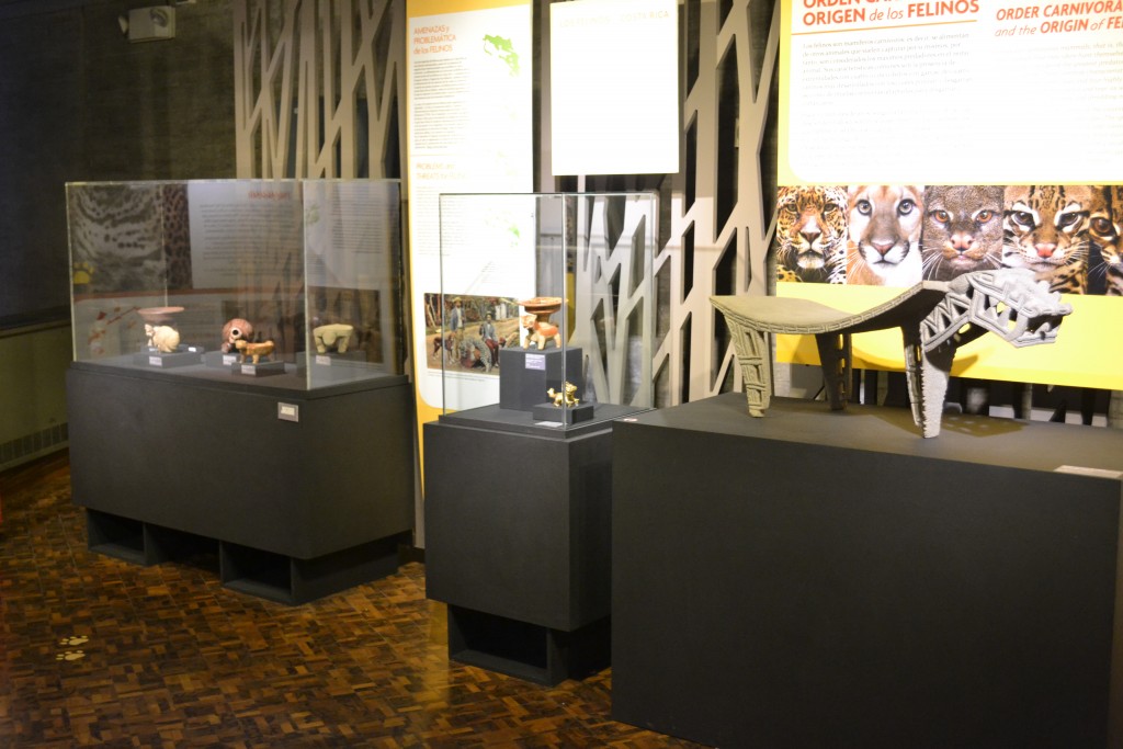 Foto: Arte - San Jose (San José), Costa Rica