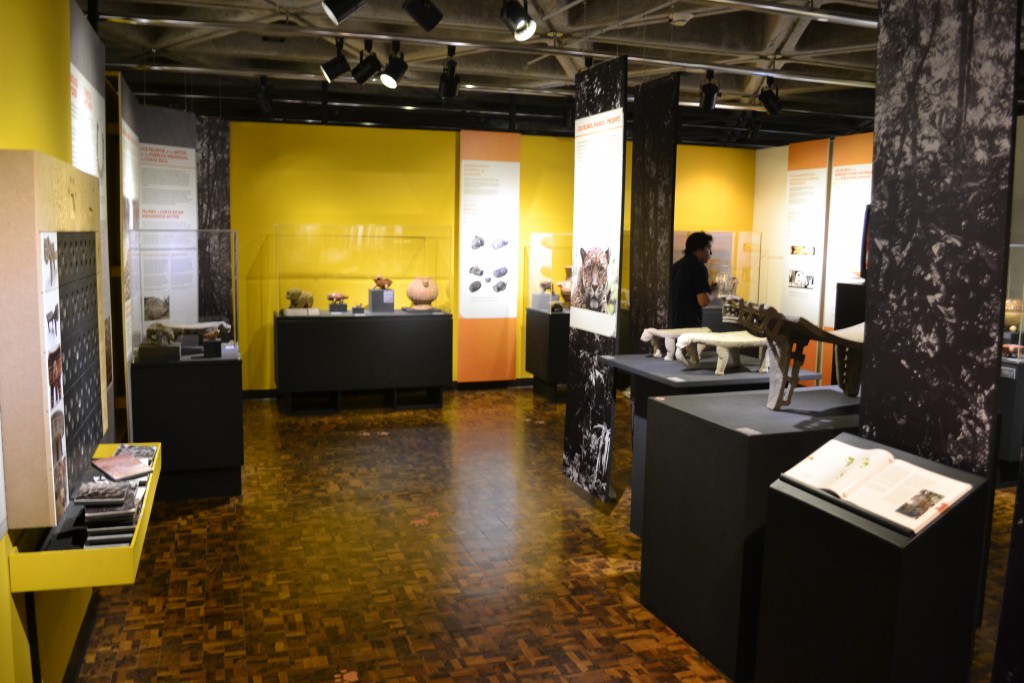 Foto: Arte - San Jose (San José), Costa Rica