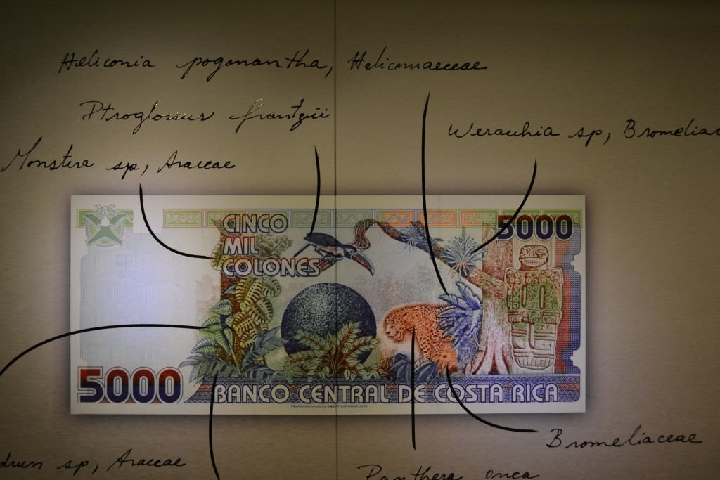 Foto: Numismática - San Jose (San José), Costa Rica