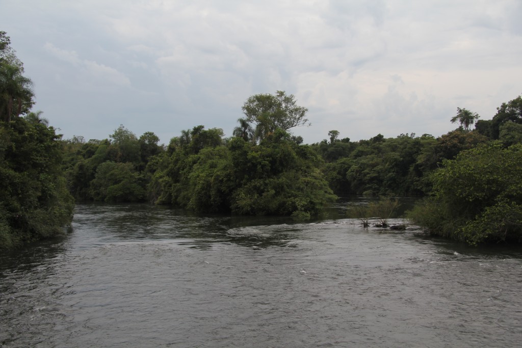 Foto de Misiones, Argentina