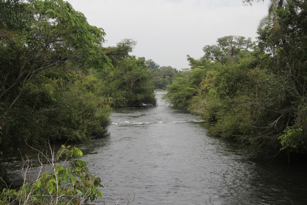 Foto de Misiones, Argentina