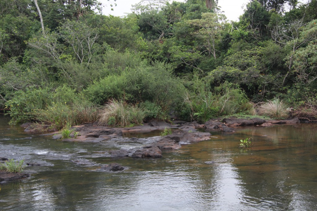 Foto de Misiones, Argentina