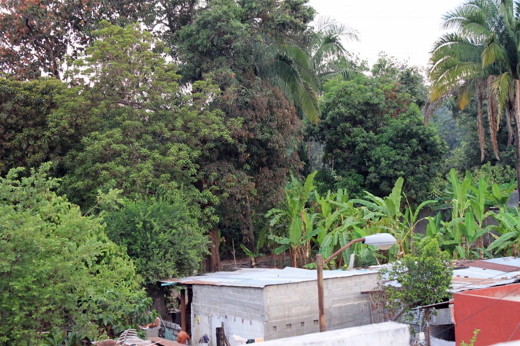 Foto de Tapachula (Chiapas), México