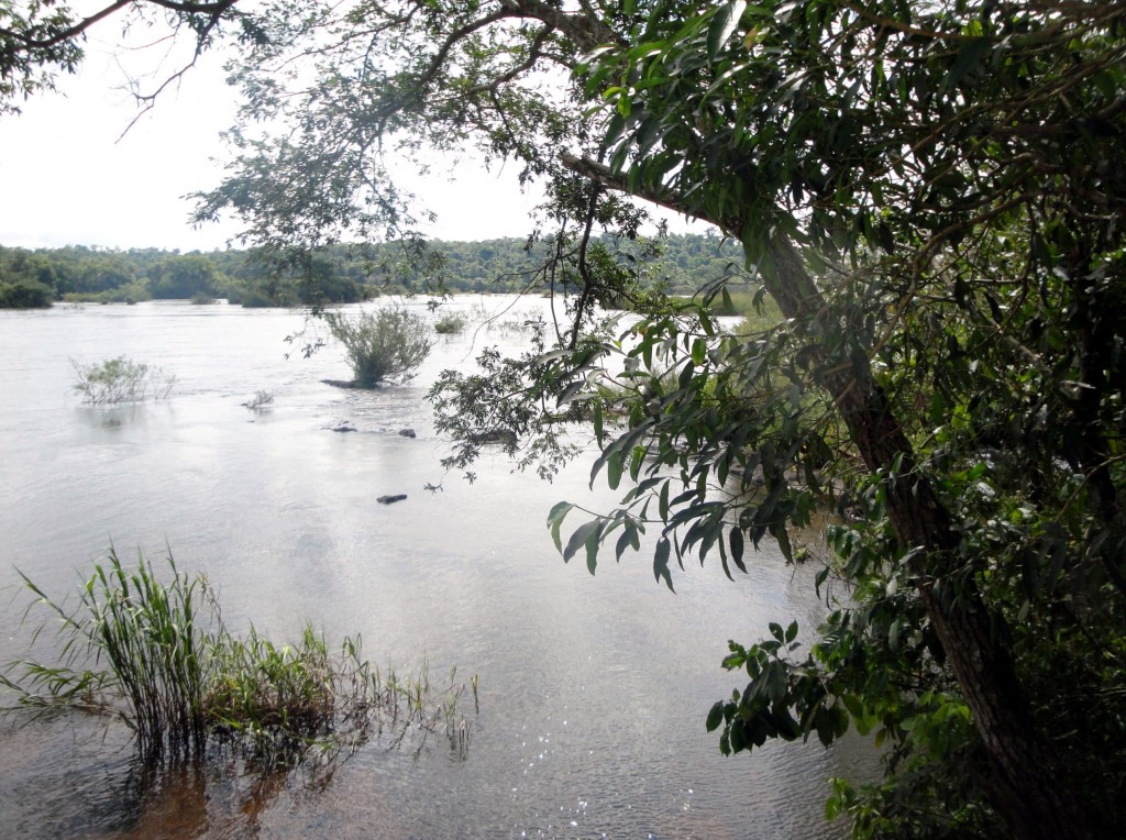 Foto: Garganta Del Diablo - Puerto Iguazú (Misiones), Argentina