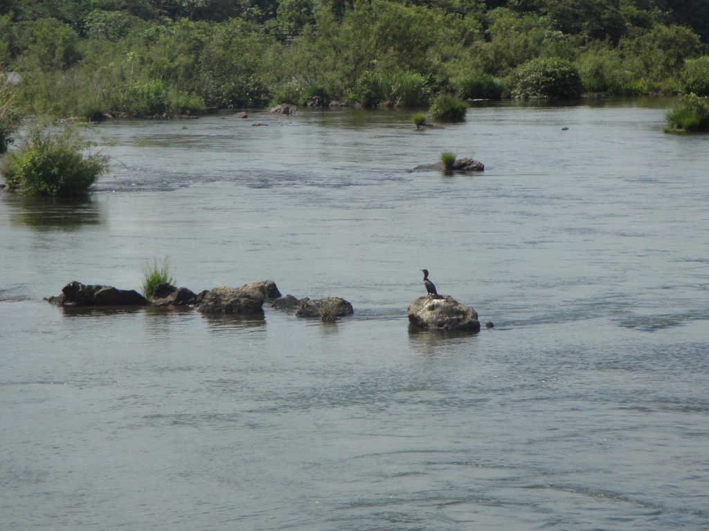 Foto: Garganta Del Diablo - Puerto Iguazú (Misiones), Argentina