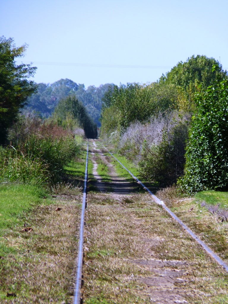 Foto de Uribelarrea (Buenos Aires), Argentina
