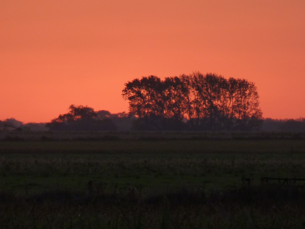 Foto: Laguna de Lobos - Lobos (Buenos Aires), Argentina