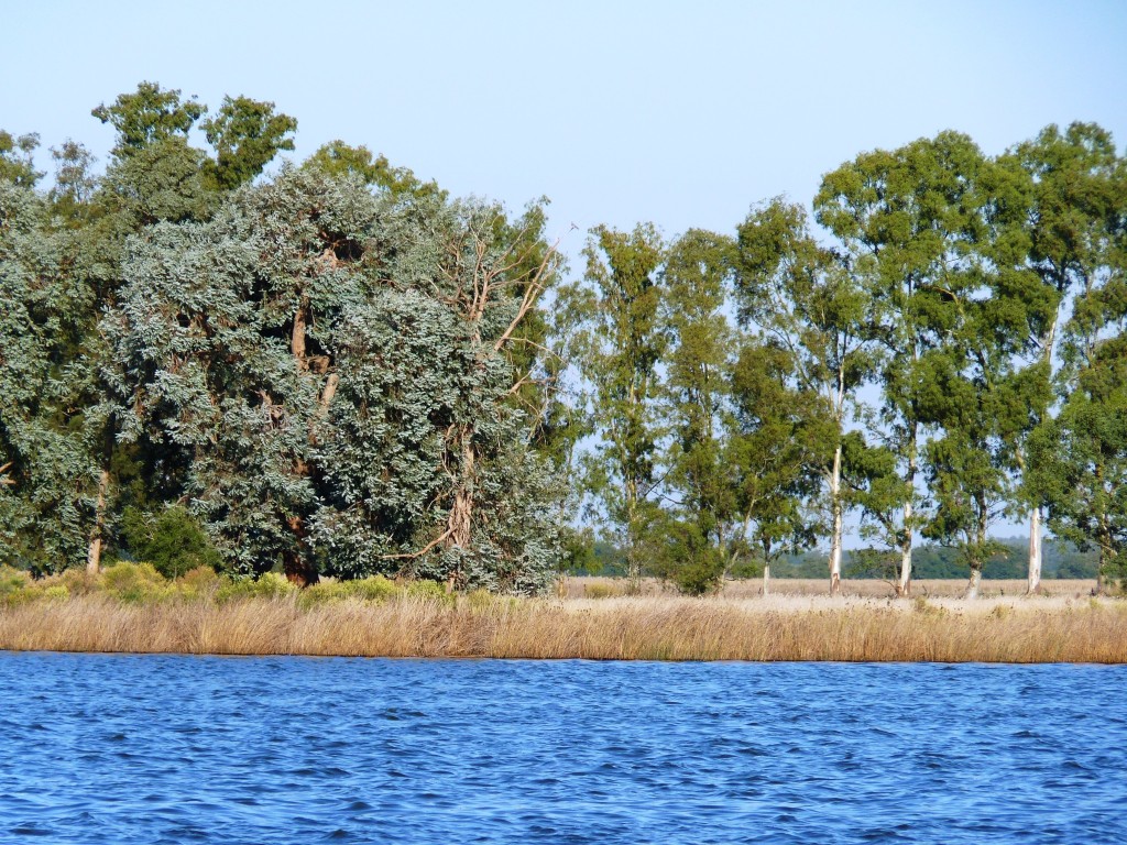 Foto: Laguna de Lobos - Lobos (Buenos Aires), Argentina