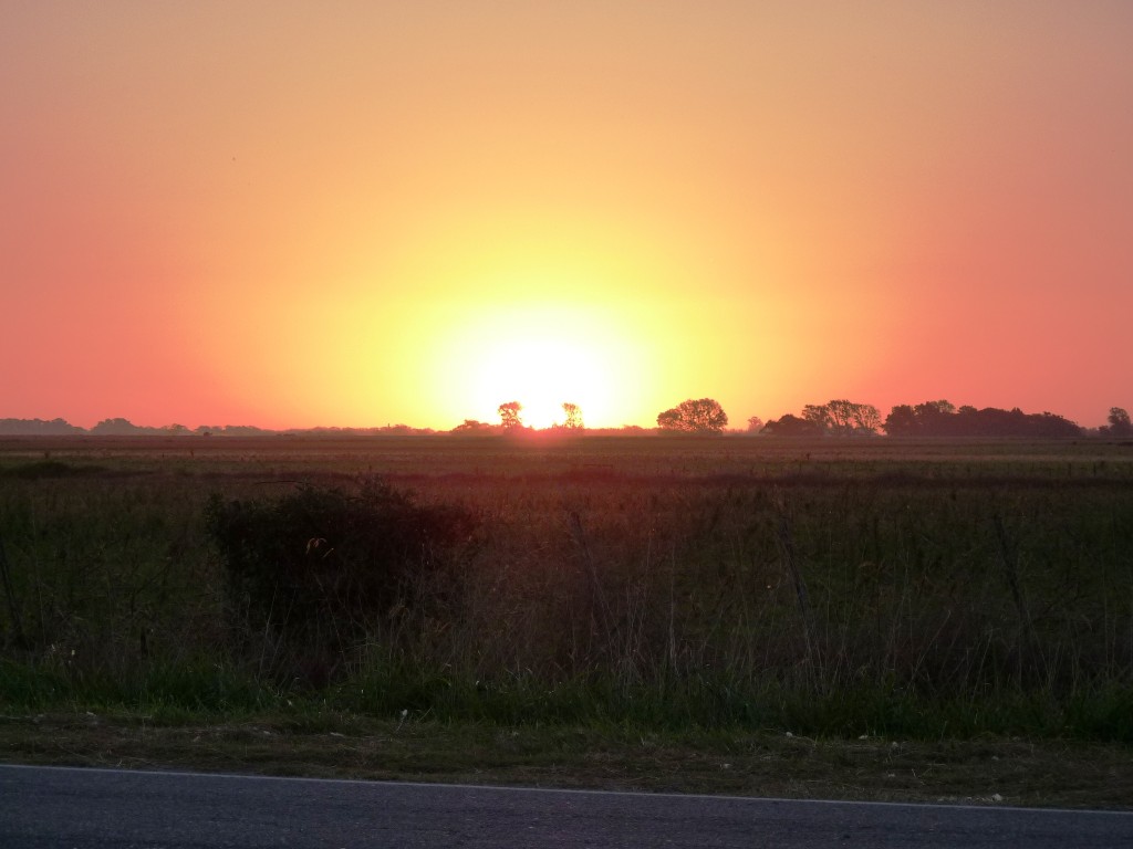 Foto: Laguna de Lobos - Lobos (Buenos Aires), Argentina
