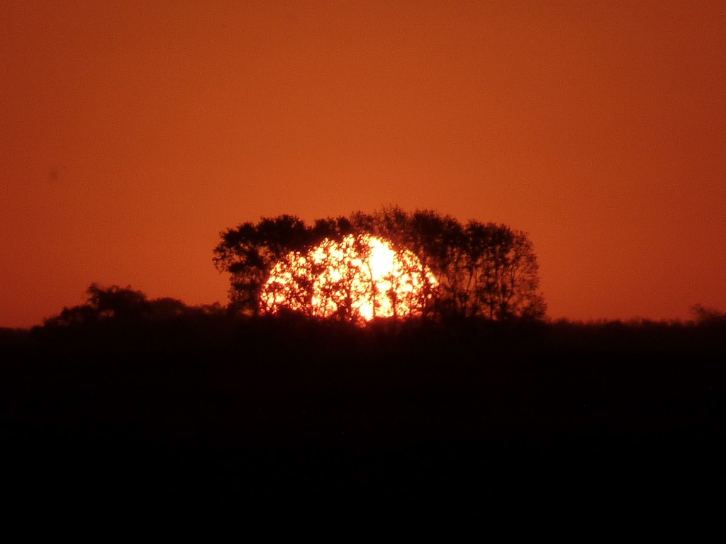 Foto: Laguna de Lobos - Lobos (Buenos Aires), Argentina