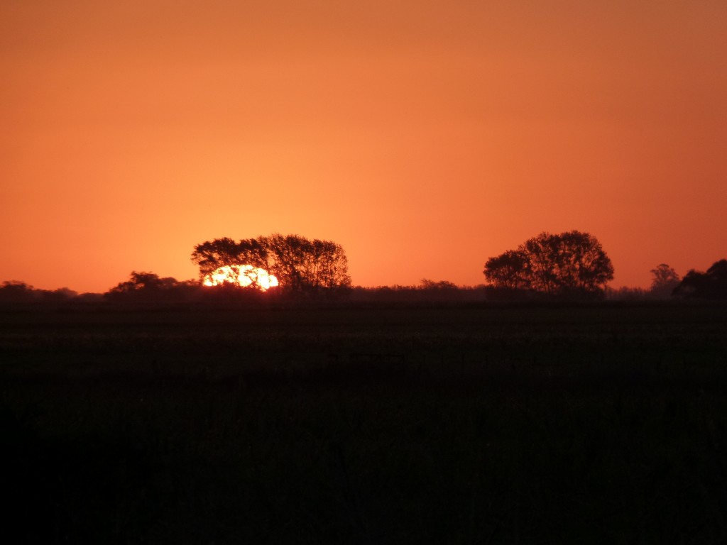 Foto: Laguna de Lobos - Lobos (Buenos Aires), Argentina