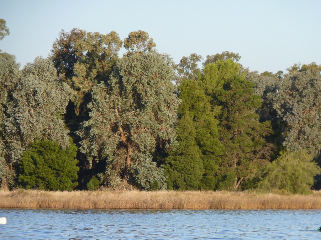 Foto: Laguna de Lobos - Lobos (Buenos Aires), Argentina