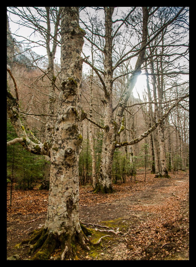 Foto de Ordesa (Huesca), España