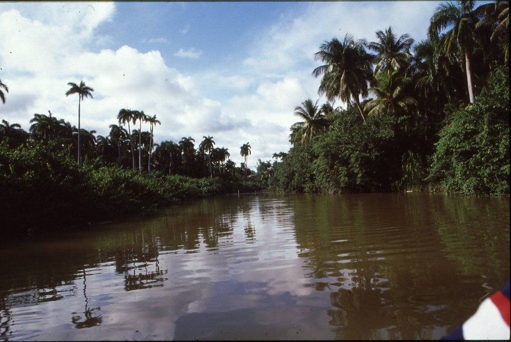 Foto de Baracoa (Guantánamo), Cuba