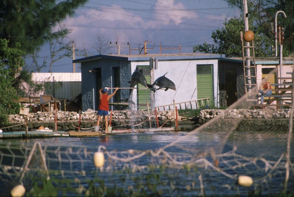 Foto de Varadero (Matanzas), Cuba
