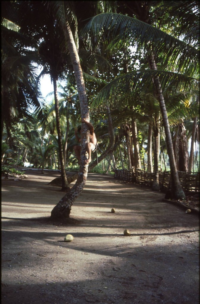 Foto de Baracoa (Guantánamo), Cuba