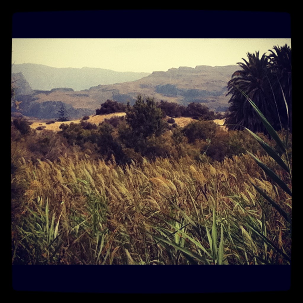 Foto: Dunas de Maspalomas - Gran Canaria (Las Palmas), España