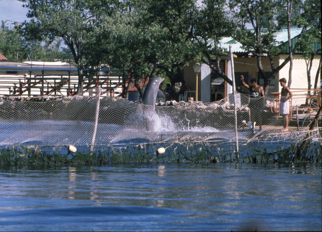 Foto de Baracoa (Guantánamo), Cuba