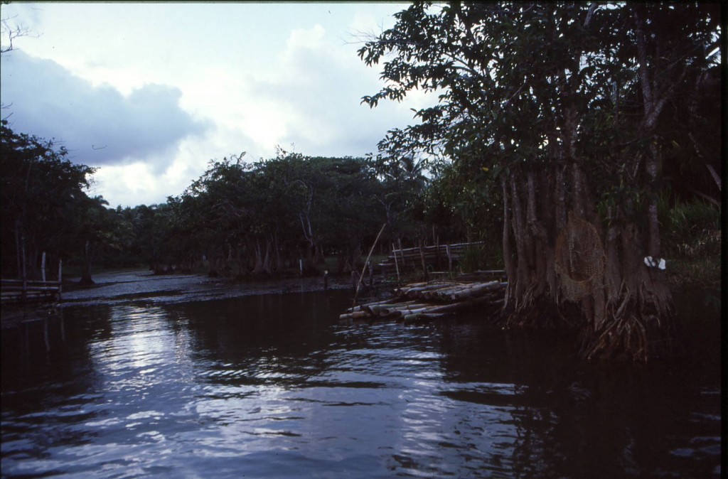 Foto de Baracoa (Guantánamo), Cuba