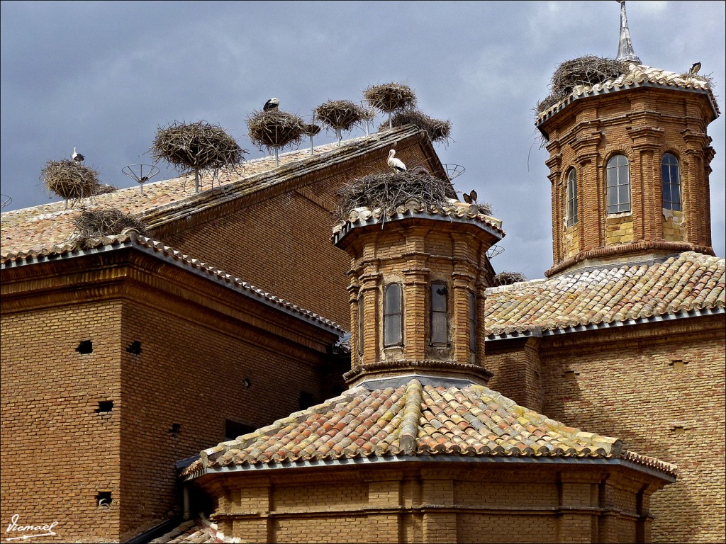 Foto: 120421-29 ALFARO - Alfaro (La Rioja), España