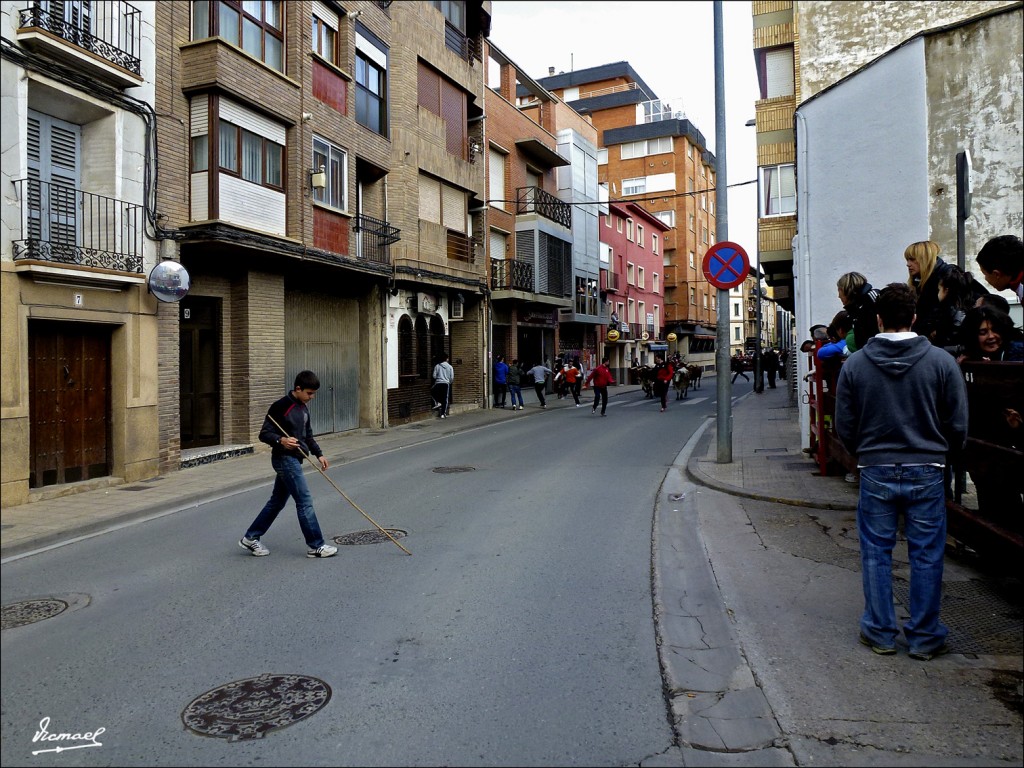 Foto: 120422-05 CORELLA - Corella (Navarra), España