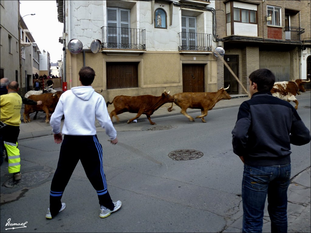 Foto: 120422-09 CORELLA - Corella (Navarra), España