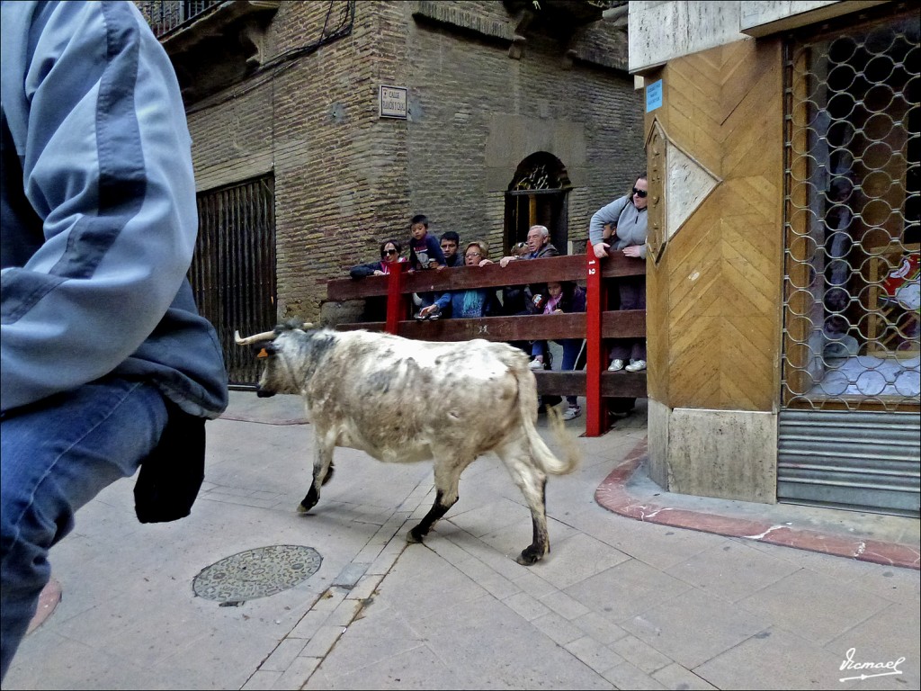Foto: 120422-11 CORELLA - Corella (Navarra), España