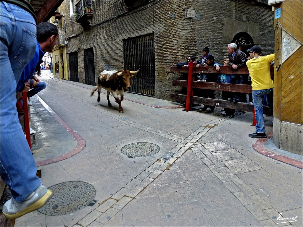 Foto: 120422-15 CORELLA - Corella (Navarra), España