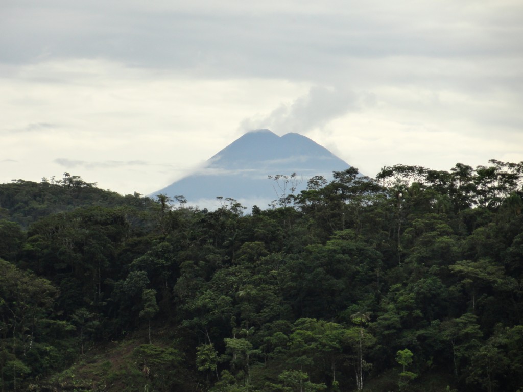 Foto: Sumaco - Achidona (Napo), Ecuador