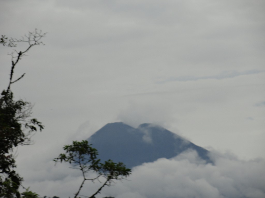 Foto: Sumaco - Achidona (Napo), Ecuador
